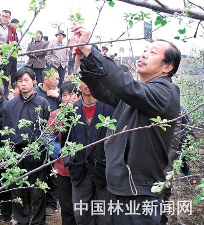 人民楷模李保国