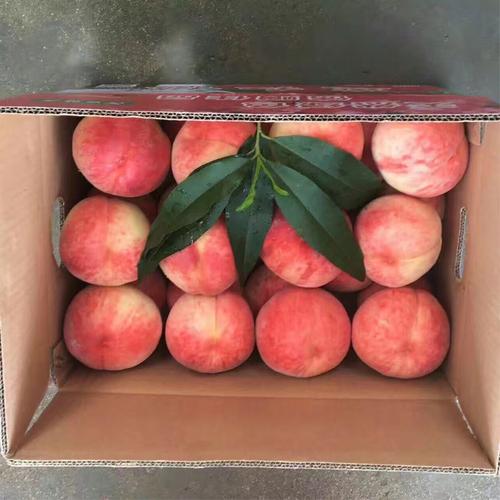一箱24个桃子的包装,上下两层,18 一20斤