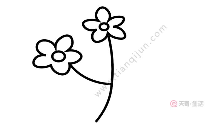 3,接着在右边画一朵花.