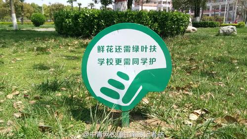 青青花草,请勿践踏
