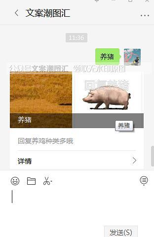 最新养鸡表情包养猪表情包养鱼养动物表情包监控表情