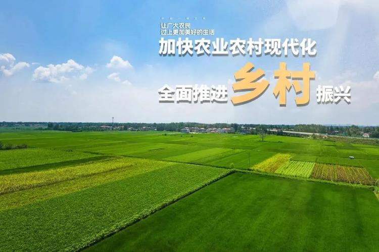 中央一号文件下发乡村振兴和农业农村现代化中的搜了宝使命