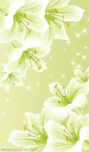 百合花玄关背景