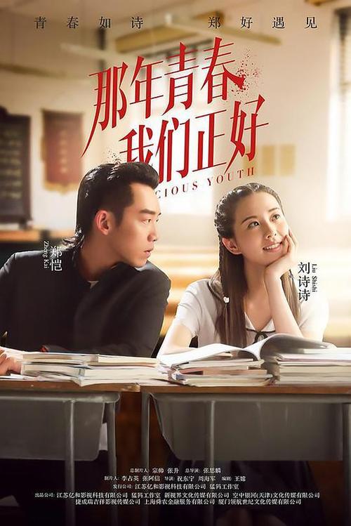 那年青春我们正好的海报