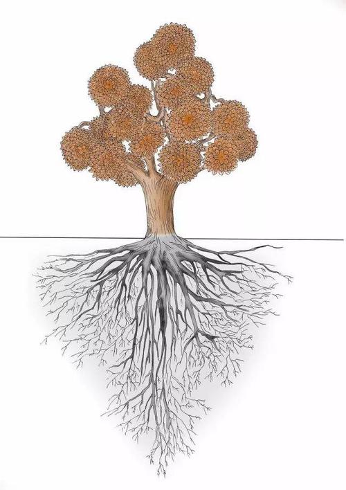 正信,就像树的根.根深