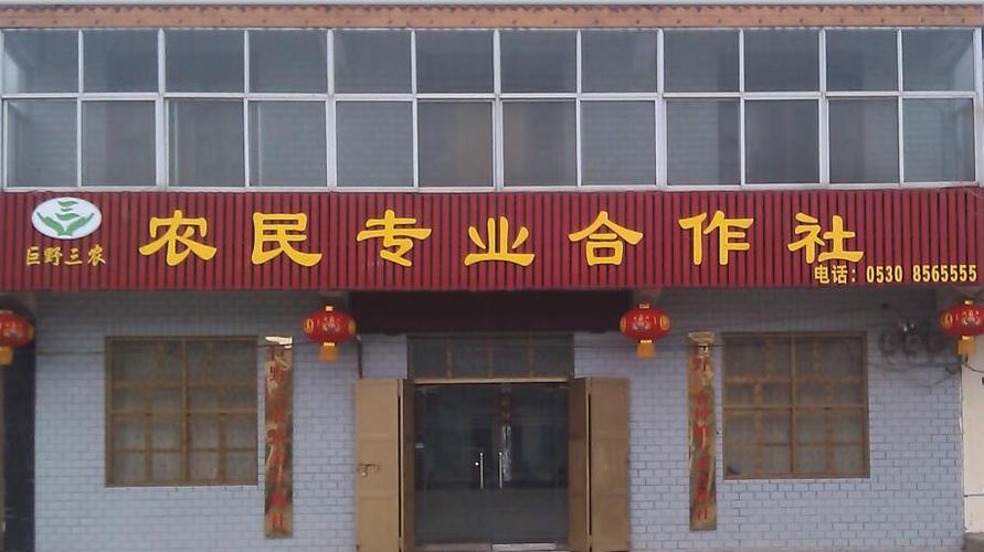 山东巨野三农种植合作社