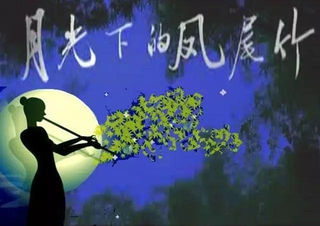葫芦丝演奏～月光下的凤尾竹