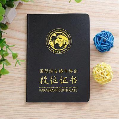 沈阳自由搏击训练-东北虎-沈阳自由搏击教练