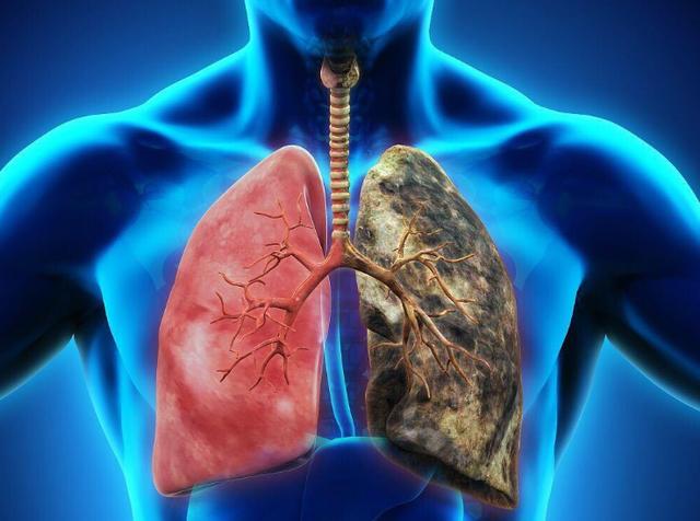 肺不好,脸上可能会有三个现象,一个也没有,说明肺部比较健康