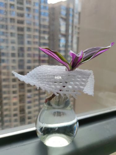 水培油画婚礼吊兰_油画_吊兰_婚礼_家居家装_家居装饰