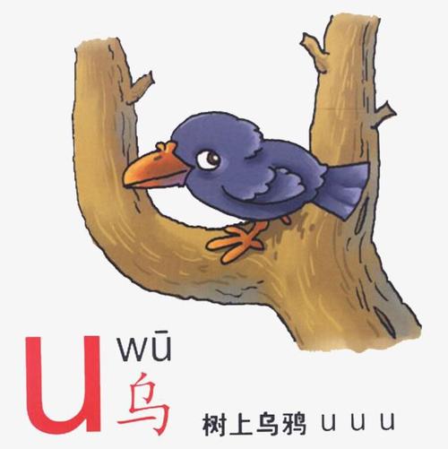 拼音《u》课堂随拍