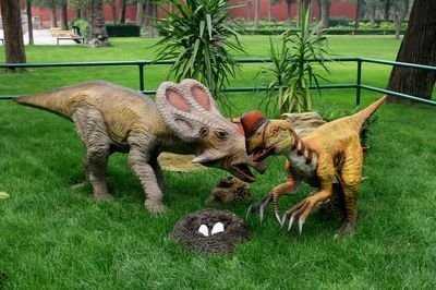 那么可能有的朋友又要问了,既然恐龙是下蛋的,那么是先有恐龙呢?