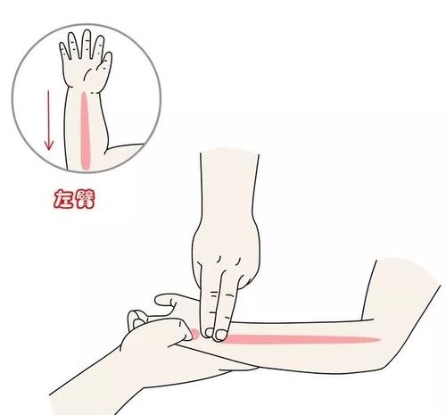 小儿推拿退烧六步图