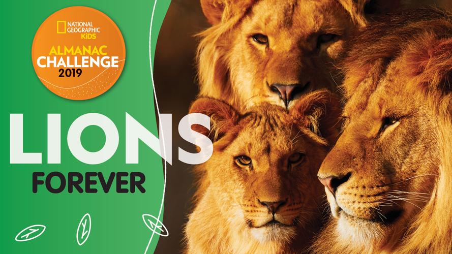 lions forever
