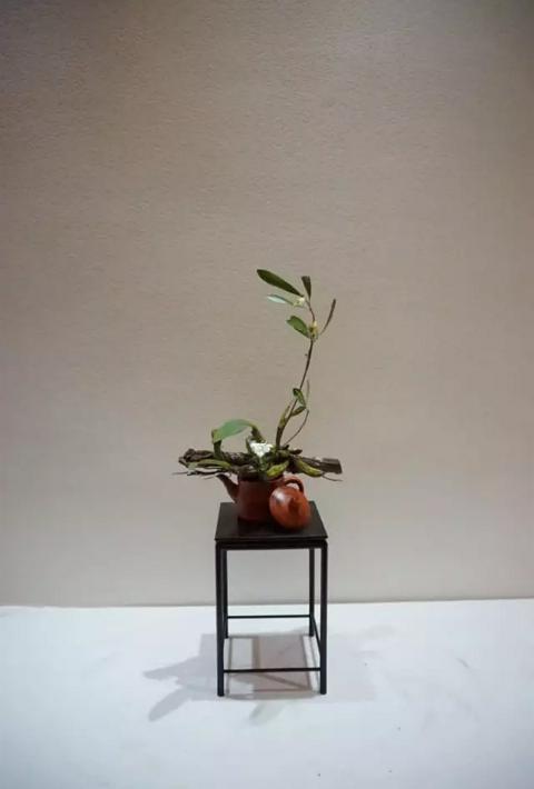 茶席插花:席上跳跃的色彩