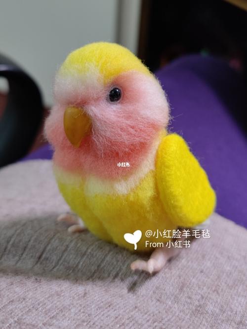 圆滚滚的黄桃小宝贝_黄桃_牡丹_牡丹鹦鹉_宠物_宠物