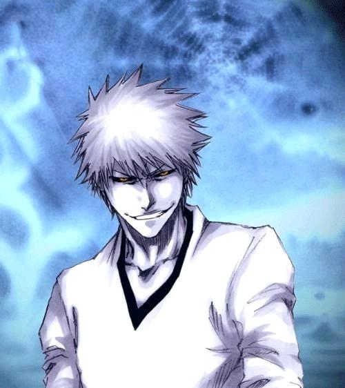 死神bleach虚白白一护图片集