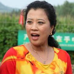 豆腐西施杨七巧