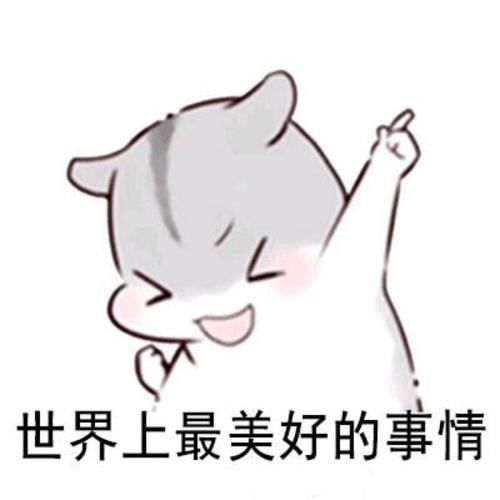 动漫表情 表情包 聊天表情 逗比 搞笑好好吃饭 好好睡觉 元旦快乐