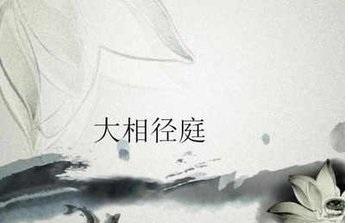 大相径庭的近义词