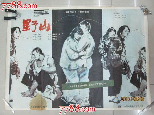 野山-se19515658-电影海报-零售-7788收藏__收藏热线