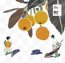 手绘枇杷果树图片免费下载-手绘枇杷果树素材-手绘枇杷果树png素材