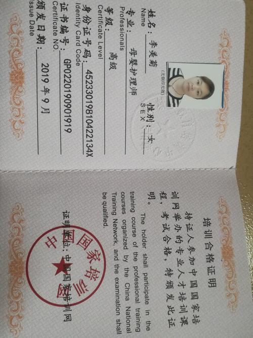 个人简历,李美菊