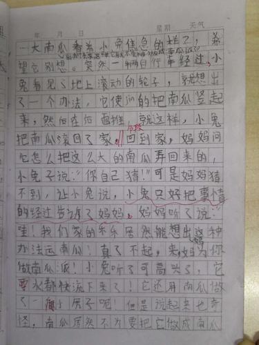 课堂写话:《小兔运南瓜》