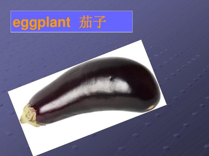 第17页 (共91页,当前第17页) 你可能喜欢 常用英语单词图片 英文字母