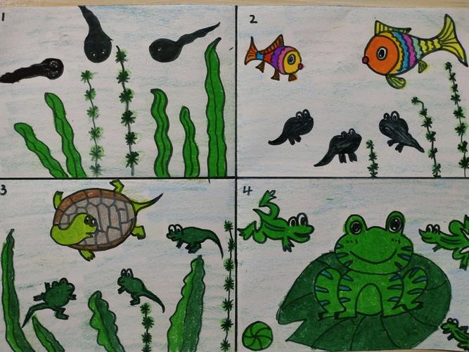 2,学习用简笔画绘画小蝌蚪,鱼,乌龟,青蛙等.