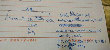 二氧化碳,氯气,氨气,二氧化硫,二氧化氮,一氧化氮,h2s,的化学方程式