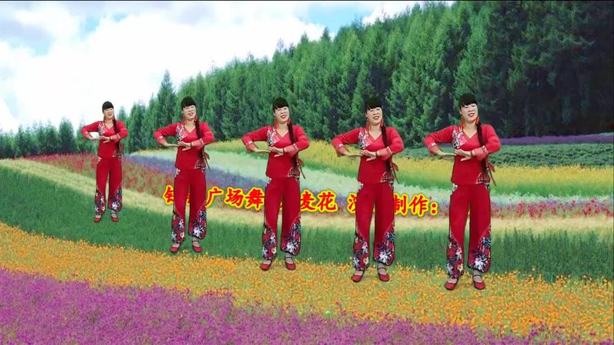 9月超火广场舞《荞麦花》歌甜舞美,好听醉人,简单欢快