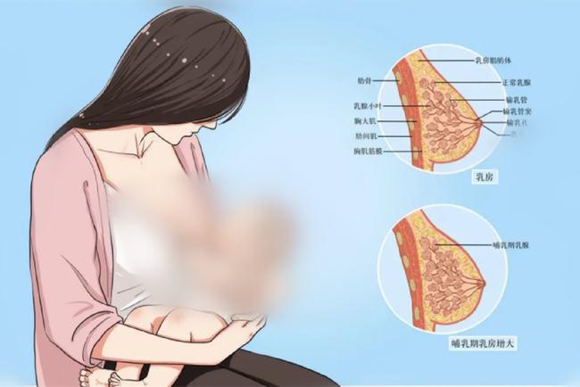 胸小没奶给孩子吃宝妈们还要被这类不科学的偏见伤害多久