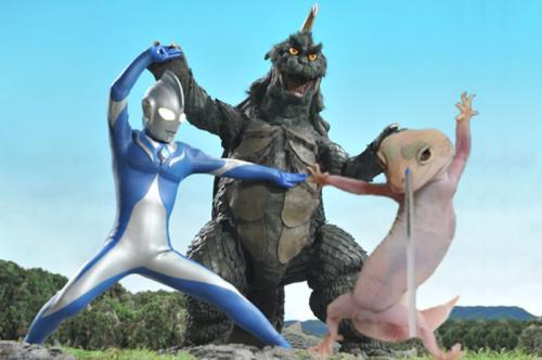 奥特曼打怪兽时手抄报 手抄报模板大全