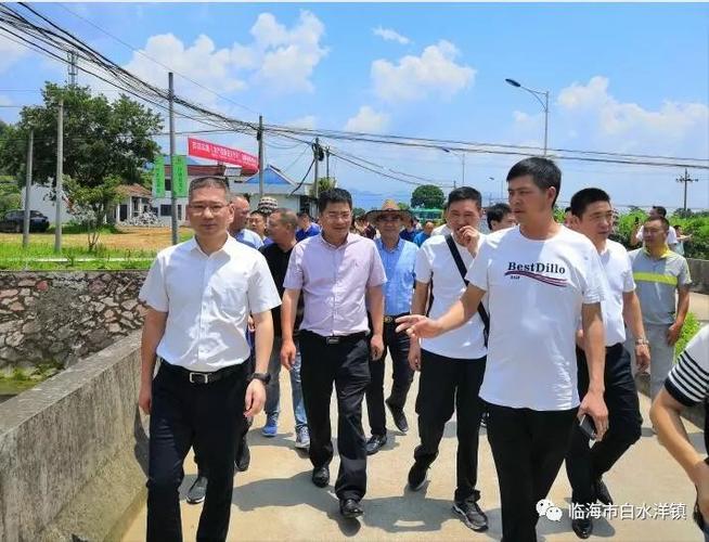 乐清市虹桥镇考察团来白水洋镇考察交流_徐晓斌