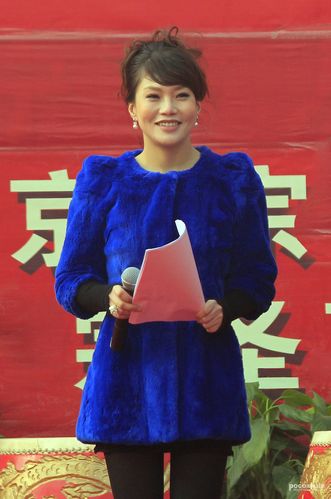 标题:cctv-刘柳