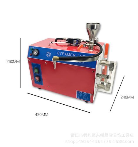 蒸汽清洗机高温高压工业商用金银首饰手表电镀油去污清大功率6l