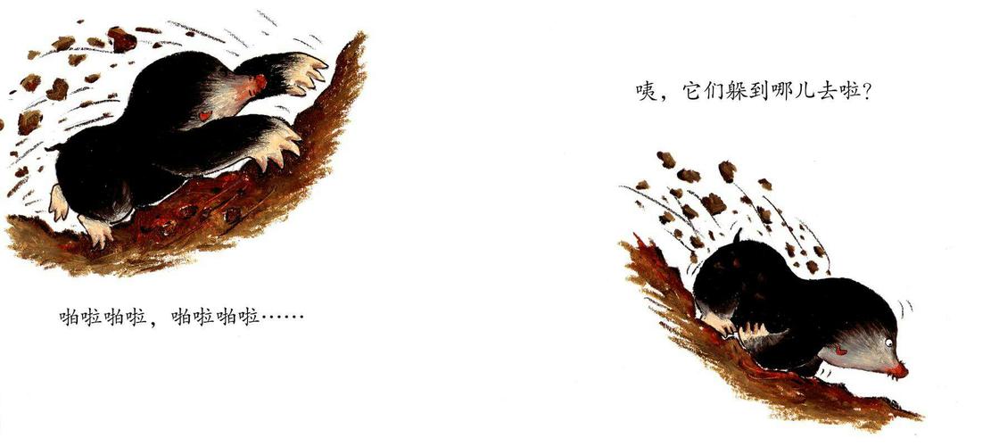 小班绘本故事《啪啦啪啦——砰》 - 美篇