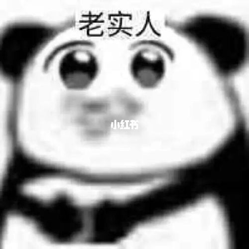 沙雕头像(老实人)_头像_沙雕_和平精英_素材_头像