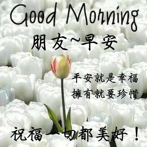 周五早上好励志心语朋友圈问候