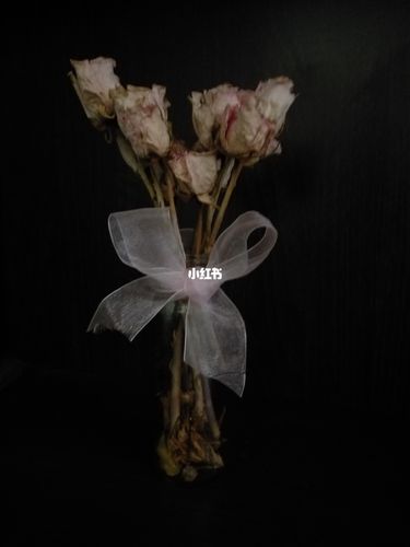 浪漫至死不渝_浪漫_花束_520花束_家居家装_家居装饰