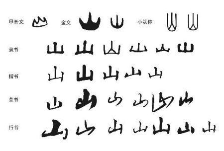 萱字用甲骨文,金文,小篆,隶书,行书,草书怎么写?要图片.