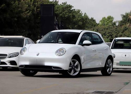 长城汽车 欧拉好猫 2021款 500km长续航 阿波罗版 三元锂">