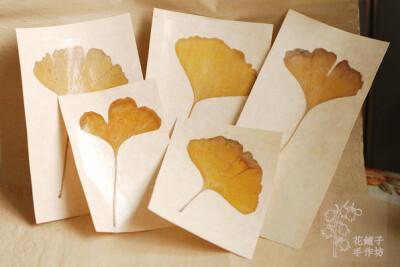 干花押花书签,银杏叶,留住时光不许谢