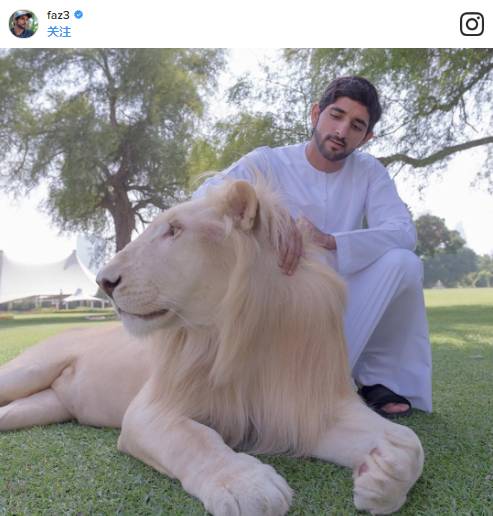 谁说童话里都是骗人的看看帅气多金的迪拜网红王子就知道了