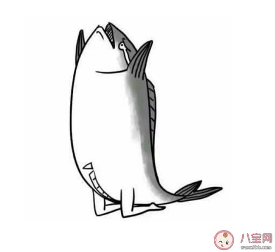 九漏鱼是什么意思 九漏鱼是什么梗