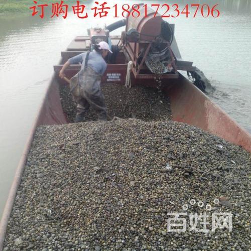 吸田螺捕捞机螺蛳捕捞机蚬子田螺螺蛳吸泵捕捞船