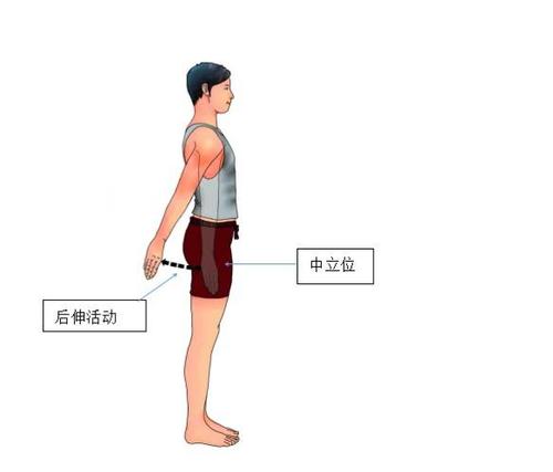 看懂这些图,肩关节活动全掌握