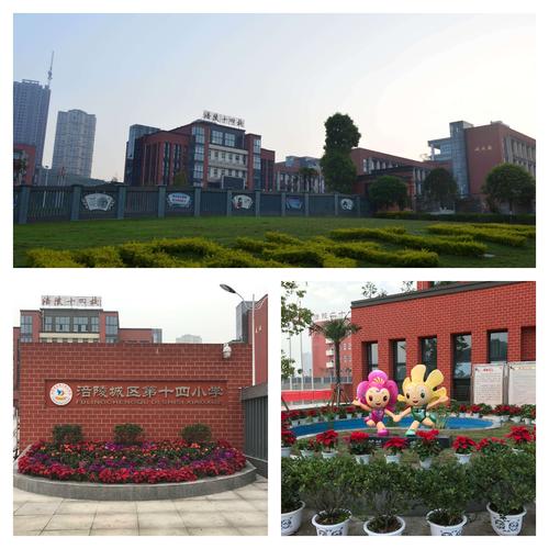 2020年秋期涪陵区刘小英心理健康工作室送教到涪陵十四校