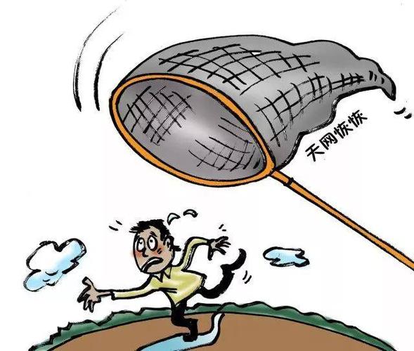 天网恢恢,疏而不漏